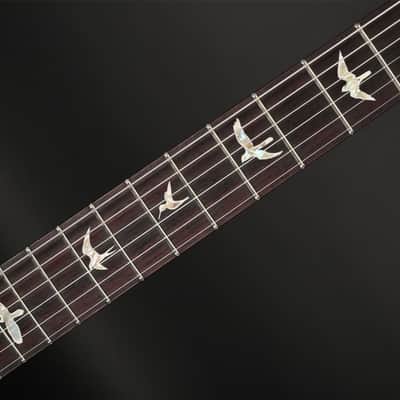 PRS Modern Eagle V in Fire Smokeburst #0364009 image 5