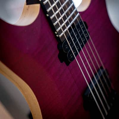 Schecter John Browne Signature Tao-6 2022 - Present - Satin Trans Purple image 5