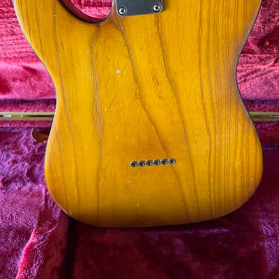 Palir Titan 2023 - SMOKED NATURAL image 5