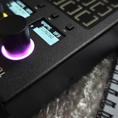 Beetlecrab Tempera 2026 - Granular Synthesizer & FX Processor image 8