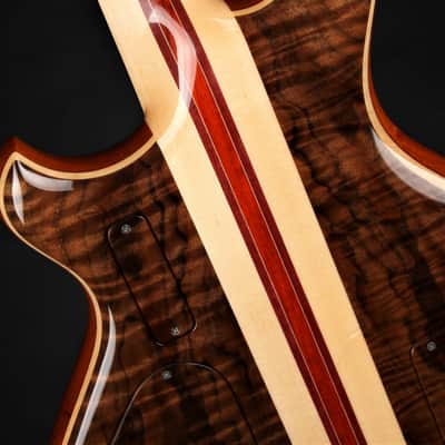 Alembic Darling - Fancy Walnut/Demo image 13