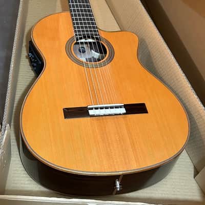 Cordoba Fusion Orchestra CE CD/IN Acoustic-Electric Nylon String Classical Guitar - Natural image 6