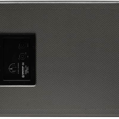 Darkglass DG210NE 500W 2x10" Bass Cabinet image 2