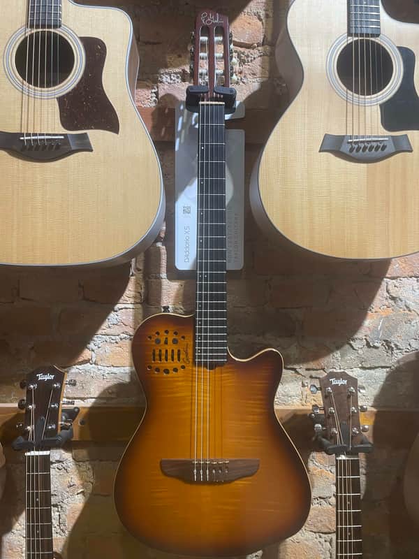 Godin Multiac ACS SA image 1