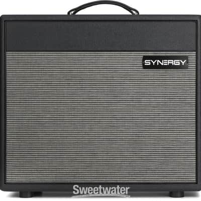 Synergy SYN-20IR 20-watt  1 x 12-inch Combo Amplifier - No Module Included - Black (SYN-20IRCd2) image 5