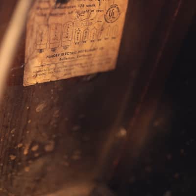 Fender Blackface Vibroverb (1964) image 11