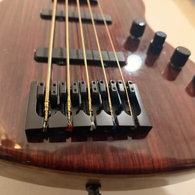 Warmoth Deluxe 5 J Bass Fretless 2025 Gloss Indian Rosewood image 4