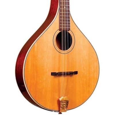 Gold Tone Model OM-800+ 8-String Solid Spruce Top Octave Mandolin with Hard Case image 2