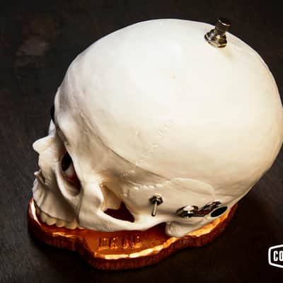 Dr. No SkullFuzz image 3