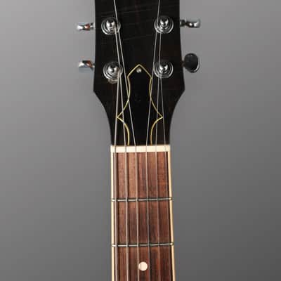 Ronin Badmoon 2015-2016 - Aged Honey Burst w/ Ancient Mammoth Ivory Guard image 17