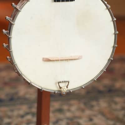(Used) Vintage 1895 S.S. Stewart Banjeaurine 5-String Open-Back Banjo #5853 image 5