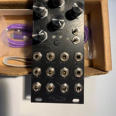 Noise Engineering Basimilus Iteritas Alia - Black on Black image 1