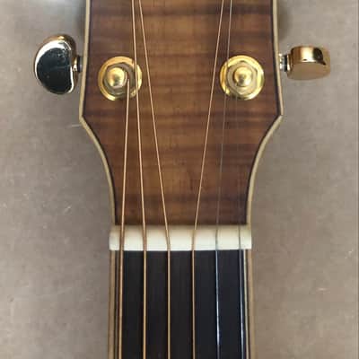 Washburn WJ55SCENS 2015 Jumbo Acoustic/Electric - Natural/Matte image 6
