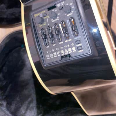Takamine TDP861C BL image 4