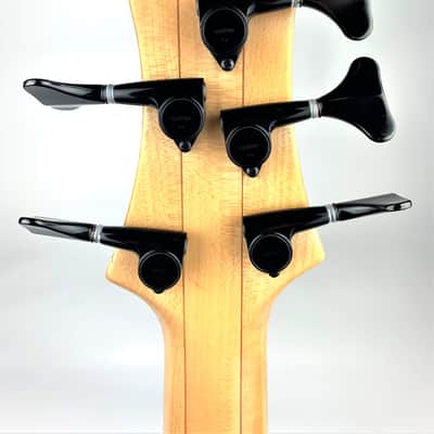 Roscoe Century Standard Plus 5M Fretless 2015 image 6