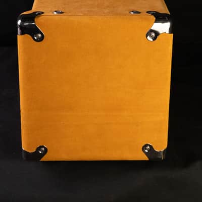 Amplified Nation Dirty Wonderland 2021 - Buckskin Suede 50 Watt image 5
