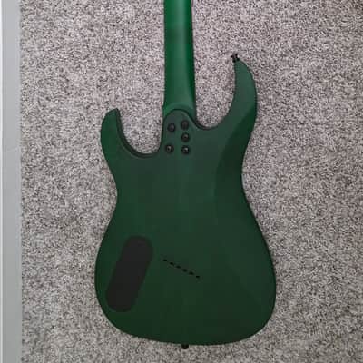 Legator Ninja 300 Pro - Fan Fret 2022 - Tree moss image 5
