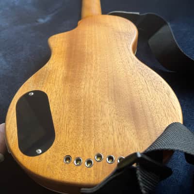 Blackstar Carry-on Gordon Smith image 9