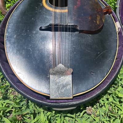 Gibson Style A-4 Mandolin 1913 - Black image 2
