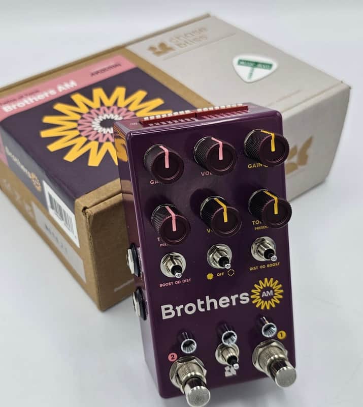 Chase Bliss Audio Brothers AM