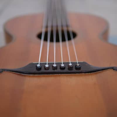 Original 19th Century TERZ guitar - Very rare! image 18