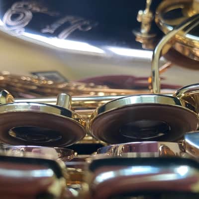 Yanagisawa Elite Alto Saxophone A-WO20 2022 in Bronze image 13
