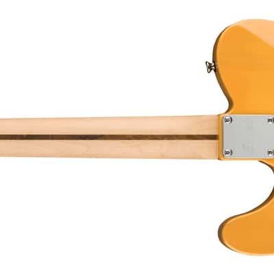 Squier Affinity Series Telecaster Maple FB Black Pickguard Butterscotch Blonde image 2