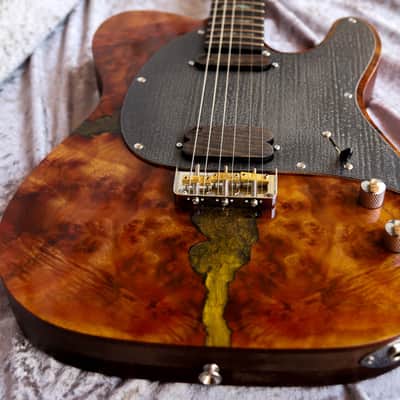 Immagine GB Liuteria Traditional Tele walnuts burl and resin - 10