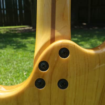 Very Rare_Cort G260 Swamp Ash Body with Hot Rails Pickups, 5-Way Switch, Coil Split & New Gig bag image 8