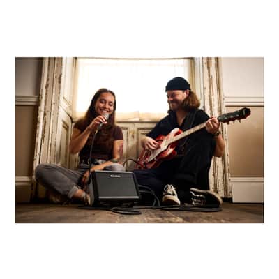Roland CUBE Street Mini Multi-Instrument Battery Amplifier image 7