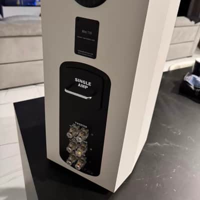 Bryston Mini T-10 2025 - white image 2