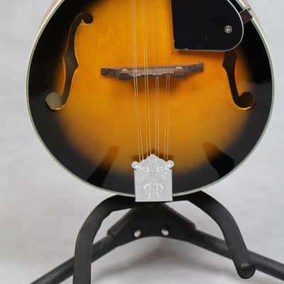 Alfreds Teach Yourself To Play Mandolin Firebrand Mandolin image 2