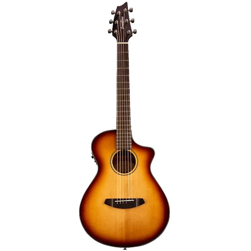 Breedlove	Discovery Companion CE image 1