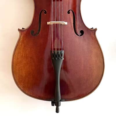 Sandro Luciano Los Angeles, California 4/4 Cello image 2