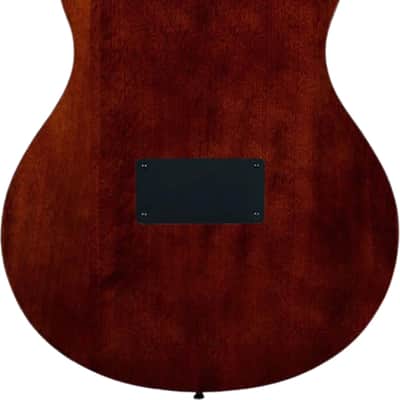 Ortega RTPDLX TourPlayer Series Thinline Acoustic-Electric Classical Guitar, Acacia Top, Gloss Burst image 3
