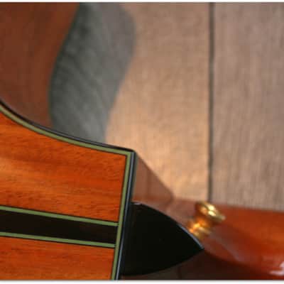 Taylor TAYLOR "Custom GS 12 Build to order LIMITED EDITION" (SECOND HAND) image 4