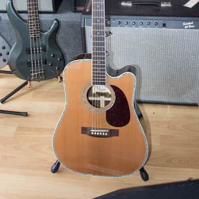 Zager EZ-Play ZAD80CE Acoustic Electric Guitar w/HSC image 1