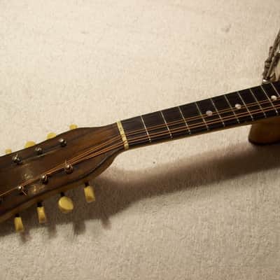 Vega Little Wonder Banjo Mandolin image 6