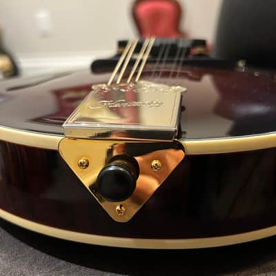 Kentucky KM-855 F Style Bluegrass Mandolin 2012 Deluxe Case Lovely Floral Shell Inlay Head and Neck image 8