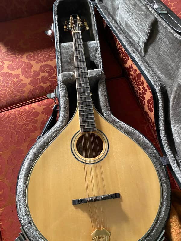 Gold Tone Octave Mandolin / OM-800+ / Hardcase Included / Pickup Installed / Excellent Cond image 1