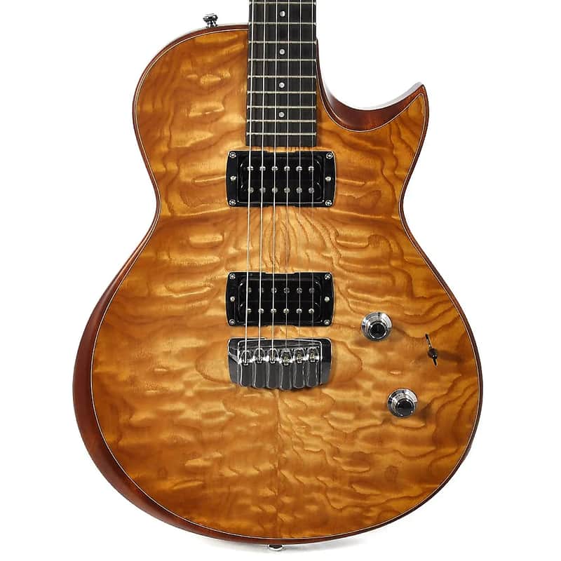 Taylor SB1 Solidbody Standard With Top Load Bridge 2007 - 2011 image 2