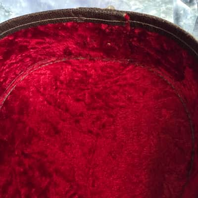 Vintage RARE 1950's Gibson Epiphone 14 x 39 1/2 Inch Alligator Print Red Plush Soft Shell Guitar Case image 10
