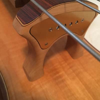 Alembic Classico image 3