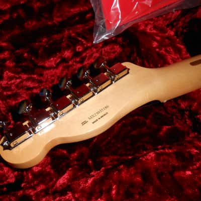 Fender 51 style Telecaster build Blonde Ash 2023 - Blonde image 12