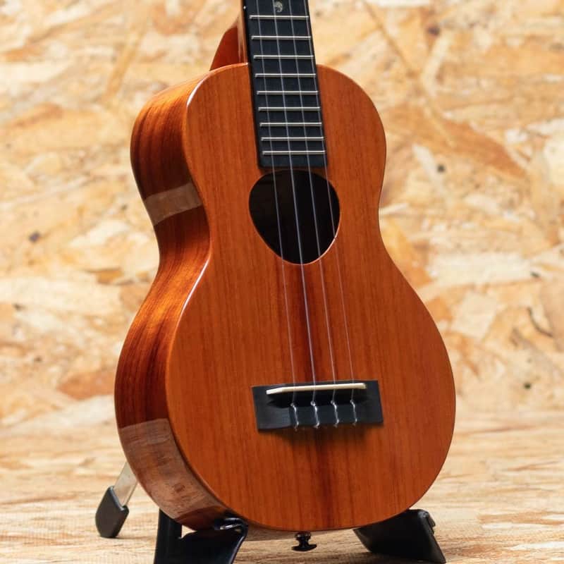 Koaloha KCM-02 Concert Longneck 2022 image 1