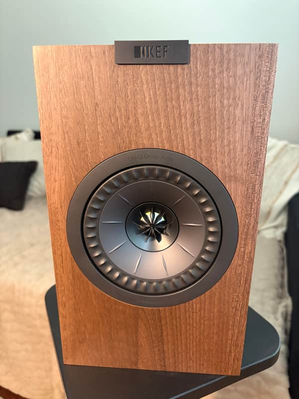 KEF Q1 Meta 2026 - Walnut image 1