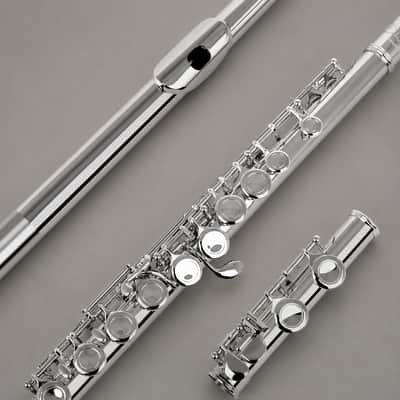 Professional C Key 16 Closed Hole Concert Flute for Students & Beginners – Nickel Plated Transverse Flute with Carrying Case, Cleaning Kit, Gloves & Back-to-School Accessories image 4
