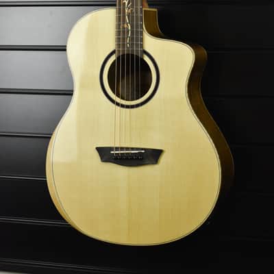 Washburn BTSC40-SCE image 6