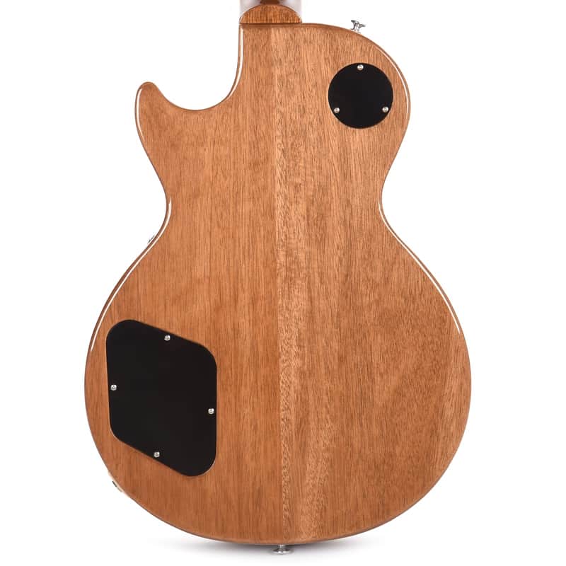 Gibson Les Paul Standard '60s Double Trouble image 4