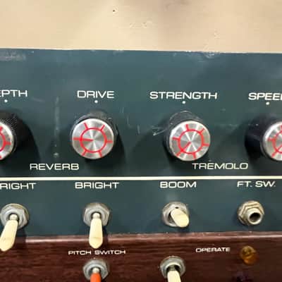 Danelectro Coral Californian Head Cabinet and Preamp Chassis 1960s image 3